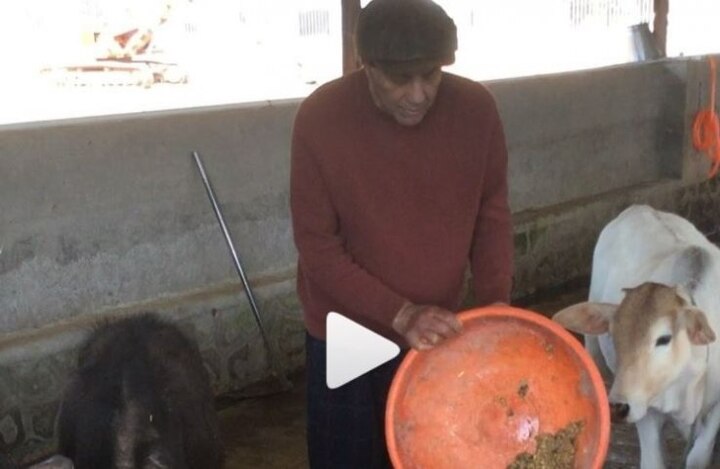dharmendra spending quality time with cow and pet animals at his farm house see beautiful videos ফিল্মি দুনিয়া থেকে দূরে কেমন কাটছে দিন, ছবি ও ভিডিও পোস্ট করে নিজেই জানালেন ধর্মেন্দ্র