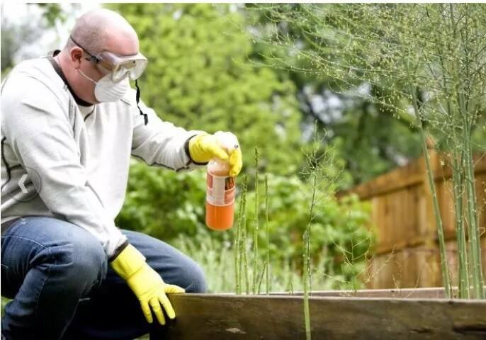 গবেষকরা বলেছেন, যাঁরা বাইরে কাজ করেন, তাঁদের সূর্যের অতিবেগুনি রশ্মি এড়িয়ে চলা উচিত