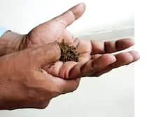 মদ, গুটখার পর এবার কোপ খৈনিতে? ভাবছে বিহার সরকার