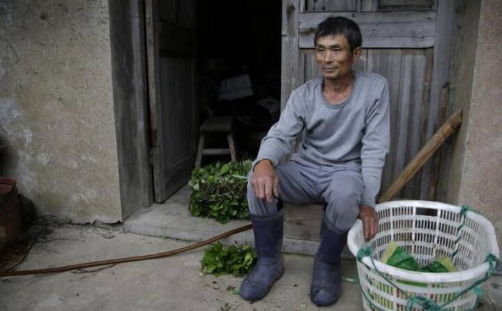 তিনি বলেছেন, লোকজন গ্রাম ছেড়ে চলে যাওয়ার পর এখানে গাছ লাগানো শুরু করেন তিনি। অনেকে আবার মনে করেন, এই গ্রামে ভূত রয়েছে। 