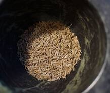 সকালে খালি পেটে জিরে খেলে কত উপকার জানেন!