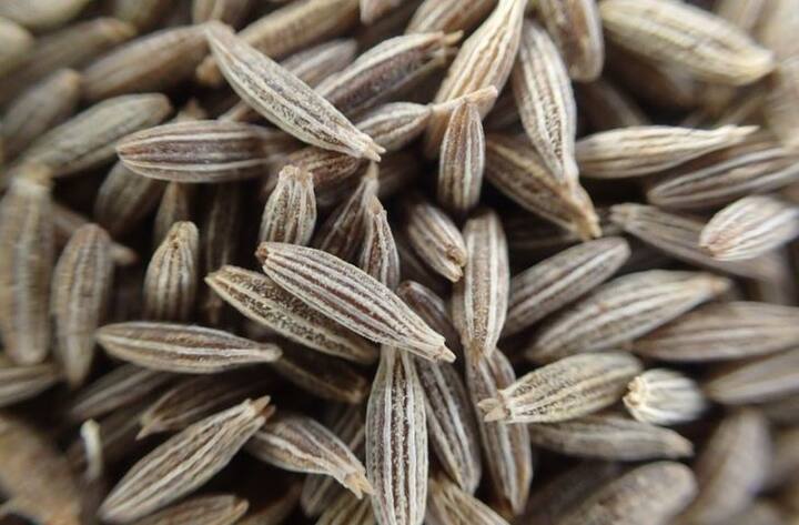 জিরে ভেজানো জল সকালে খালি পেটে খেলে সহজেই ওজন কমানো যায়। 