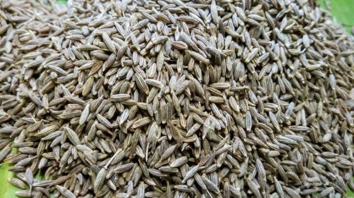 পরিপাকের হার বাড়লে সহজেই পেটের চর্বি কমানো যায়। জিরে এই পরিপাকের হার বাড়তে সাহায্য করে। 