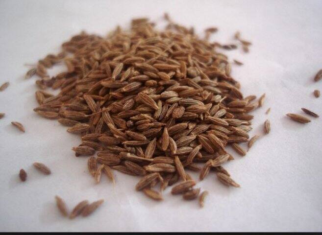 সকালে খালি পেটে জিরে খেলে ব্লাড সুগারও নিয়ন্ত্রণ করা যেতে পারে। 