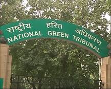 দেশজুড়ে দেশী প্রজাতির গরু রক্ষায় কী নীতি, জানতে চাইল জাতীয় গ্রিন ট্রাইব্যুনাল, সেনসাস করতে  বলল রাজ্যগুলিকে