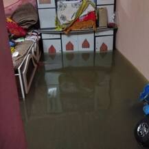 বৃষ্টিতে বিপর্যস্ত গুজরাত, পুকুর, লেকের জল উপচে ভাসল বিভিন্ন এলাকা