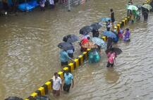 যন্ত্রণার বৃষ্টিতে ডুবল মায়ানগরী মুম্বই, দেখুন বিচ্ছিন্ন কিছু ছবি