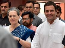 রাহুল প্রধানমন্ত্রী হতে পারবেন না, বাবার থেকে তাঁর চেহারার মিল বেশি বিদেশি মায়ের সঙ্গে, বললেন বসপা নেতা