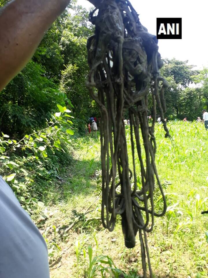 বিমানবাহিনী সূত্রে খবর, যুদ্ধবিমানটি পঞ্জাবের পঠানকোট বিমানঘাঁটি থেকে রুটিনমাফিক উড়ান শুরু করে। এক ঘণ্টা পরে দুপুর ১.২০ মিনিটে সেটি ভেঙে পড়ে। ছবি সৌজন্যে এএনআই