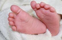 দুর্ঘটনায় কাঠের নীচে চাপা পড়ে প্রসব গর্ভবতী মহিলার, জখম মহিলার মৃত্যু, বেঁচে গেল শিশু!