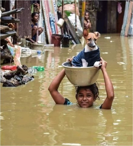 Kerala Rain Fury Claims More Live, Chopper to drop relief material in Mumbai কেরলে লাফিয়ে লাফিয়ে বাড়ছে মৃত্যুর সংখ্যা, মুম্বইয়ে ঘরছাড়া লক্ষাধিক, নিখোঁজ বহু, চপার নামিয়ে বন্যা মোকাবিলায় তৎপর প্রশাসন