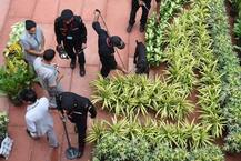 দেখুন, লালকেল্লায় স্বাধীনতা দিবসের অনুষ্ঠানের আগে এনএসজি-র মহড়া