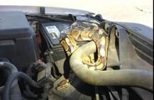 ওয়াশিং মেশিনে কেচে ফেলা ‘জামা’টা আসলে অজগর, চক্ষু চড়কগাছ মহিলার