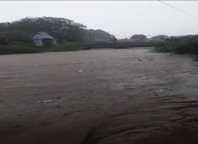 অতিরিক্ত বৃষ্টির কারণেই কুমিরটি জলাশয় ছেড়ে খেতে চলে এসেছিল বলে মনে করা হচ্ছে 