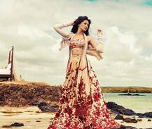 দেখুন নার্গিস ফখরির নয়া ফটোশ্যুট