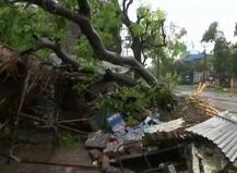 এখনও পর্যন্ত মৃত ১১, সাইক্লোন ‘গাজা’-য় লণ্ডভণ্ড তামিলনাড়ু