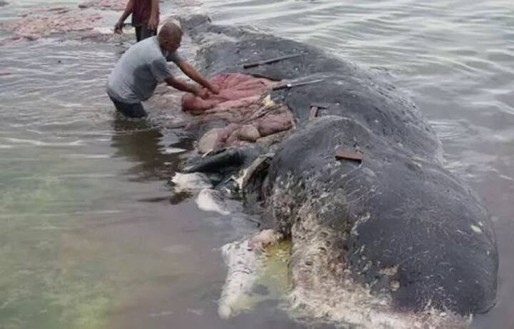 একটি গবেষণা অনুসারে গত জানুযারিতে সায়েন্স জার্নালে প্রকাশিত রিপোর্ট অনুযায়ী, চিনের পর ২৬০ মিলিয়ন জনসংখ্যা বিশিষ্ট দ্বীপরাষ্ট্র ইন্দোনেশিয়ায় চিনের পর বিশ্বের দ্বিতীয় প্ল্যাস্টিক-দূষণ বহুল দেশ। গবেষণা অনুসারে, প্রতি বছর এখানে প্রায় ৩.২ মিলিয়ন টন প্ল্যাস্টিকের বর্জ্য তৈরি হয় এবং এর মধ্যে ১.২৯ মিলিয়ন টন সমুদ্রে ছুঁড়ে ফেলা হয়। ছবি-এপি
