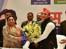 উত্তরপ্রদেশে সপা-বসপা জোটের ঘোষণাকে স্বাগত মমতার, একা মোদিকে রুখতে পারবে না, নিজেদের অস্তিত্ব রক্ষাতেই ওদের রফা! কটাক্ষ বিজেপির