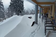 বরফে ঢেকে গিয়েছে গোটা হিমাচল, দেখুন সেই ছবি...