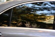 ছবিতে দেখুন: এক ঝলকে বলিউডের লক্ষ্মীছানারা