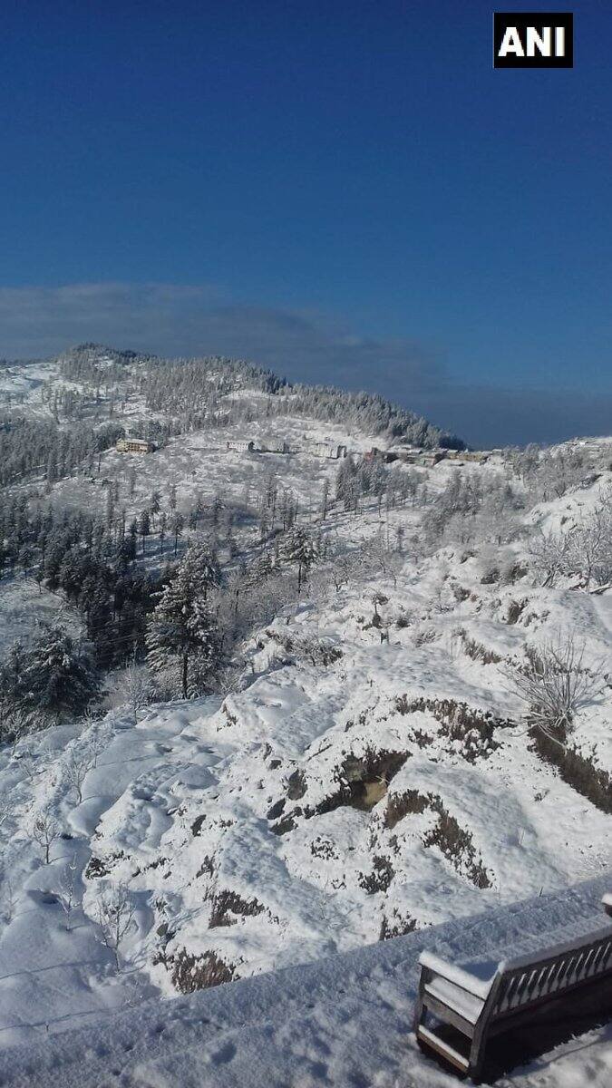 তুষারপাতের ফলে সিমলার সৌন্দর্য বেড়ে গিয়েছে। ছবি সৌজন্যে ট্যুইটার