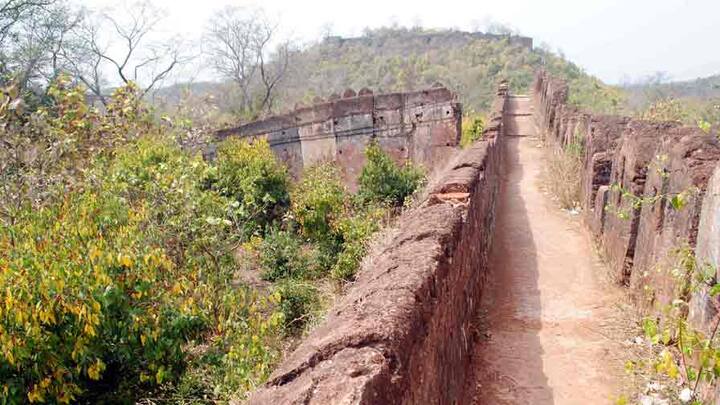 পালামৌ দুর্গ। রাজা মেদিনীরায় এই জঙ্গলে যখন শিকার করতে আসতেন এই দুর্গ হত তাঁর ঠিকানা।