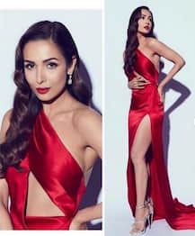 সামনেই অর্জুন কপূরের সঙ্গে বিয়ে, দেখুন তার আগে মালাইকা অরোরার ফটোশ্যুট