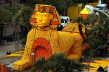 ৫ লক্ষ ১৪০ মেট্রিক টন লেবু দিয়ে বানানো হয় বিভিন্ন মূর্তি, প্রত্যেক বছর নতুন নতুন বিষয় ভাবনায় সেজে ওঠে ফ্রান্সের ‘লেমন ফেস্টিভ্যাল’