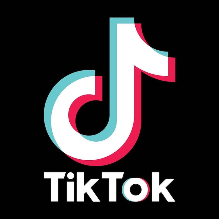 Madras High Court asks Center to ban TikTok app পর্নোগ্রাফি ছড়িয়ে দেওয়ার অভিযোগ, টিকটক অ্যাপ নিষিদ্ধ করার নির্দেশ আদালতের