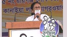 সবাই বিজেপিকে ভয় পাচ্ছে, একা শুধু তৃণমূল লড়ছে: মমতা