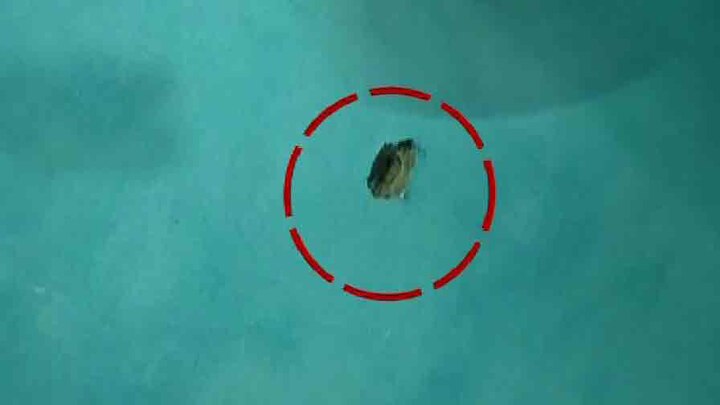 বীরভূমের দুবরাজপুরের পদুমায় গ্রামবাসী-কেন্দ্রীয় বাহিনী সংঘর্ষ, মোবাইল জমা রাখা নিয়ে বচসা, বাহিনীকে লক্ষ্য করে ইট ছোঁড়েন গ্রামবাসীরা, শূন্যে গুলি ছোঁড়ার অভিযোগ বাহিনীর বিরুদ্ধে