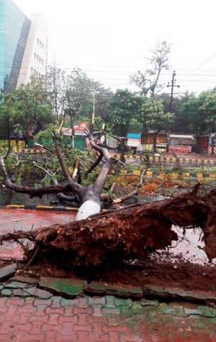 প্রবল ঝড়ে গাছ ভেঙ্গে বন্ধ রাস্তা ভুবনেশ্বরে। বাতিল করা হয়েছে ২৩৩টি ট্রেন।
