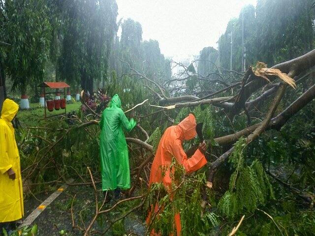 পরিস্থিতির পর্যালোচনা করে ওড়িশার মুখ্যমন্ত্রী নবীন পট্টানায়েক জানিয়েছেন, পুরী জেলা,বিশেষ করে, মন্দির নগরী, যেখানে ঘূর্ণিঝড় প্রথম আঘাত করে, সেখানে ক্ষতি হয়েছে সবচেয়ে বেশি। মুখ্যমন্ত্রী জানিয়েছেন, বিদ্যুত্ পরিকাঠামো সম্পূর্ণ বিধ্বস্ত হয়ে পড়েছে। বিদ্যুত সরবরাহ চালু করার কাজই চ্যালেঞ্জিং হয়ে পড়েছে। এজন্য যুদ্ধকালীন তত্পরতায় কাজ করছেন কয়েকশ ইঞ্জিনিয়ার ও টেকনিশিয়ান। মুখ্যমন্ত্রী জানিয়েছেন, সড়ক যোগাযোগ ফের শুরু করার কাজ চলছে। কারণ, বিভিন্ন জায়গায় হাজার হাজার গাছ উপড়ে পড়ে যোগাযোগ বিচ্ছিন্ন হয়ে পড়েছে। পট্টানায়েক আরও বলেছেন, ঝড় এখনও ওড়িশার ওপর দিয়ে যাচ্ছে। তাই ক্ষয়ক্ষতির পর্যালোচনা করতে সময় লাগবে। ছবি-পিটিআই 