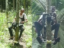 উঁচু গাছে চড়তে ‘বাইক’ বানালেন কর্নাটকের কৃষক