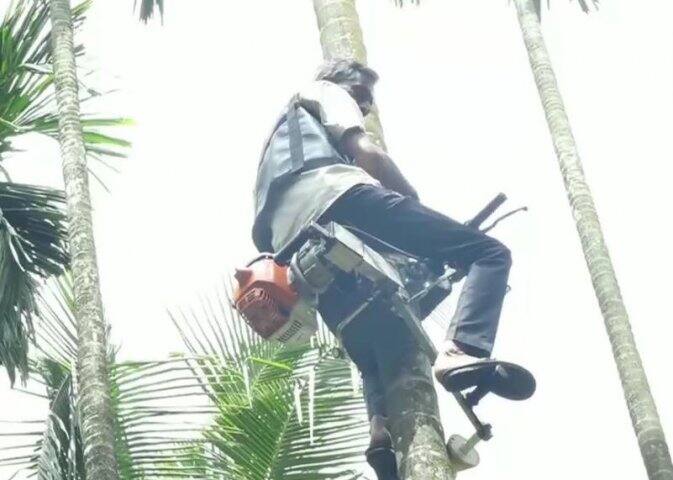 পেট্রল চালিত এই মেশিনে বাইকের মতোই রয়েছে ক্ল্যাচ ও ব্রেক। এক লিটার পেট্রলে প্রায় ৮০ টি উঁচু গাছে ওঠা যায়।