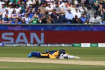 শ্রীলঙ্কা-দক্ষিণ আফ্রিকা ম্যাচে মৌমাছি-হানা, মাঠেই শুয়ে পড়লেন ক্রিকেটাররা!