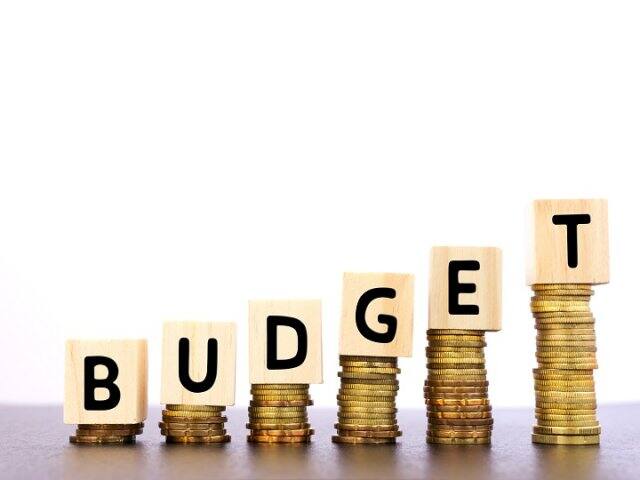 Price hike, price down in budget 2020 বাজেটে কীসের কীসের দাম বাড়ল? কমলই বা কীসের? দেখে নিন