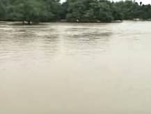 মাইসুরুর কপিলা নদীতে ঝাঁপ দিয়ে দু’দিন নিখোঁজ থাকার পর নিরাপদে ফিরে এলেন বৃদ্ধ পুরোহিত