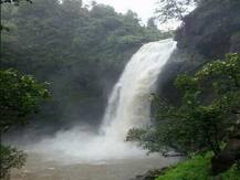 মহারাষ্ট্রে জলপ্রপাত থেকে বেশ কয়েক ফুট নিচে পুকুরে পড়ে গিয়েও প্রাণে বাঁচলেন যুবক
