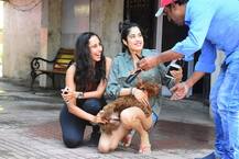 দেখুন! জিমের বাইরে কুকুরছানার সঙ্গে খেলছেন জাহ্নবী