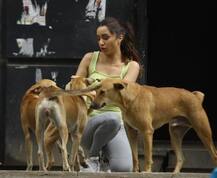 যখন একদল কুকুর ঘিরে ধরল শ্রদ্ধাকে