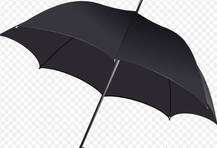 স্কুল পড়ুয়াদের ১০০০ ছাতা বিলি করলেন তামিলনাড়ুর শিক্ষিকা