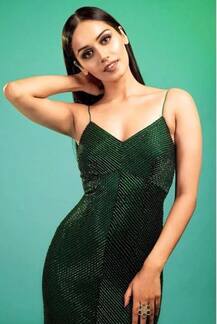 দেখুন প্রাক্তন বিশ্বসুন্দরী মানুষী ছিল্লারকে