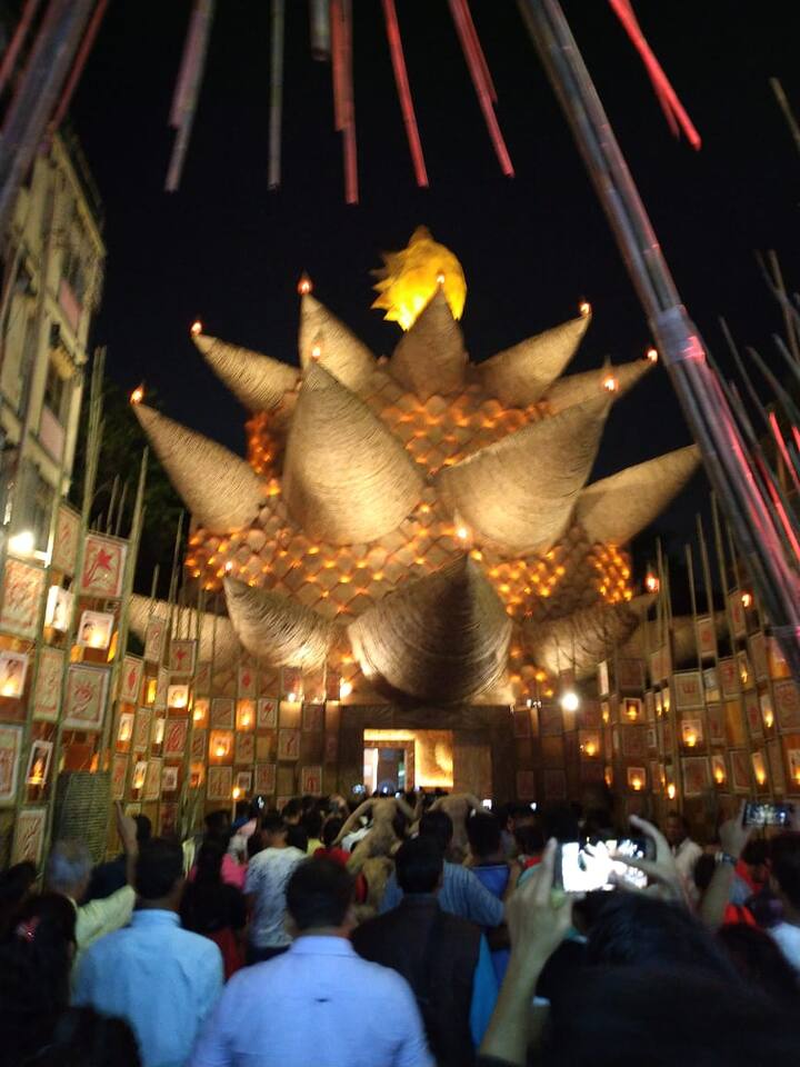 দেখছেন ৬৬ পল্লির পুজোমণ্ডপ