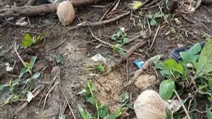 সাঁইথিয়ায় গোষ্ঠীদ্বন্দ্বের জের, গুলিবিদ্ধ হয়ে তৃণমূল কর্মীর মৃত্যু TMC worker shot dead at Sainthia allegedly due to inner-clash of TMC সাঁইথিয়ায় গোষ্ঠীদ্বন্দ্বের জের, গুলিবিদ্ধ হয়ে তৃণমূল কর্মীর মৃত্যু