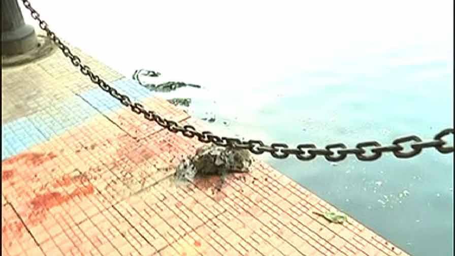 Chatt Pujo: Rabindra Sarovar Update LIVE UPDATE: ছটপুজো: রবীন্দ্র সরোবর থেকে হঠাৎ উধাও পুলিশ, অবাধে প্রবেশ বহিরাগতদের, চলছে পুজোর আয়োজন 