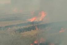 দিল্লির দূষণ-বিপর্যয়: একিউআই ১০০০ ছাড়াল, আরও ‘বিষাক্ত’ রাজধানীর বাতাস