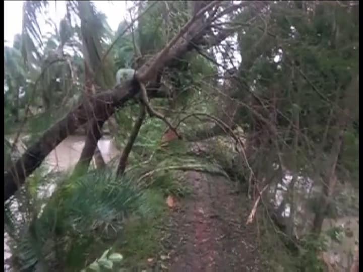 উত্তর ২৪ পরগনা জেলার বিভিন্ন এলাকায় তার প্রভাব পড়েছে। বিরাটি স্টেশনে আপ লাইনে গাছ ভেঙে পড়ায় ব্যাহত ট্রেন চলাচল। সকাল ৬টা নাগাদ রেললাইনের উপর ভেঙে পড়ে গাছ। এর জেরে শিয়ালদা-বনগাঁ ও শিয়ালদা-হাসনাবাদ শাখায় ঘণ্টাখানেক ট্রেন চলাচল বন্ধ হয়ে যায়। লাইন থেকে গাছ সরানোর পর, ফের স্বাভাবিক হয় ট্রেন পরিষেবা। উত্তর ২৪ পরগনার হিঙ্গলগঞ্জের গোবিন্দকাটি গ্রামে বিদ্যুতের খুঁটি ও গাছ উপড়ে পড়ায় রাস্তা বন্ধ হয়ে যায়। সন্দেশখালির বেড়মজুর গ্রামে গাছ পড়ে ক্ষতিগ্রস্ত বহু বাড়ি। হাসনাবাদেও বেশ কয়েকটি গাছ ভেঙে পড়েছে। 