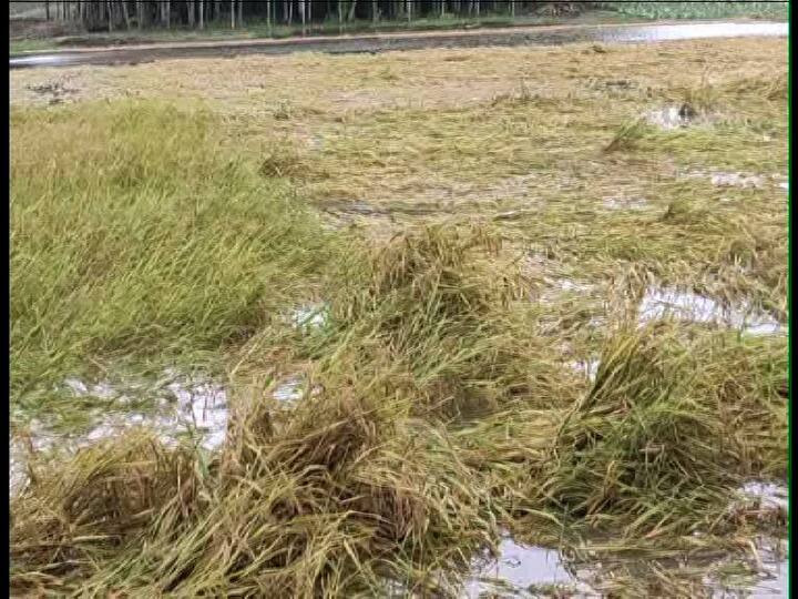 দক্ষিণ ২৪ পরগনার কাকদ্বীপে আছড়ে পড়ে ঘূর্ণিঝড় ‘বুলবুল’। নামখানায় ভেঙে পড়ে দুটি জেটি। এর মধ্যে একটি নির্মীয়মাণ জেটি, আরেকটি জেটিতে ভেসেল বাঁধা ছিল। সেটি ভেসে যায়। ঘূর্ণিঝড়ের দাপটে নামখানা স্টেশনও ক্ষতিগ্রস্ত। কাকদ্বীপ স্টেশনের অ্যাসবেস্টসের চাল উড়ে গিয়েছে। একাধিক জায়গায় ভেঙে পড়েছে গাছ। 