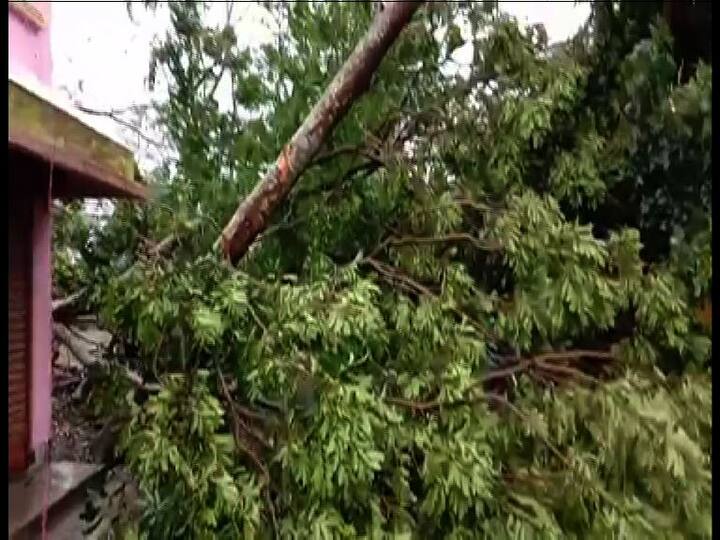 দক্ষিণ ২৪ পরগনার রায়দিঘি, মগরাহাট, ডায়মন্ড হারবার - একাধিক জায়গায় গাছ উপড়ে পড়েছে। যান চলাচল ব্যাহত। কাকদ্বীপ থেকে বকখালি যাওয়ার পথে, ১১৭ নম্বর জাতীয় সড়কের একাধিক জায়গায় গাছ পড়ে রাস্তা বন্ধ। পাথরপ্রতিমায় গাছ ভেঙে পড়েছে। হেলে পড়েছে বিদ্যুতের খুঁটি। গোসাবায় বাড়ির উপর ভেঙে পড়ে গাছ। ক্ষতিগ্রস্ত মাটির বাড়ি। বাসন্তীতে রাস্তায় গাছ ভেঙে পড়ায় বিপত্তি। পাশাপাশি, ক্যানিংয়ের ইটখোলা, মধুখালি, আমড়াবেড়িয়া, নিকারিঘাটা, হাটপুকুরিয়া এলাকায় বেশ কিছু মাটির বাড়ি ক্ষতিগ্রস্ত। রাস্তায় উপড়ে পড়েছে গাছ। সুন্দরবনের ঝড়খালিতে ব্যাপক ক্ষয়ক্ষতি হয়েছে। প্রচুর মাটির বাড়ি ভেঙে পড়েছে।